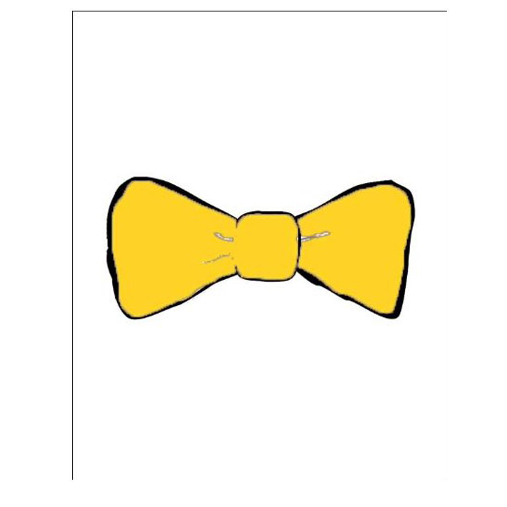 Papillon cravattino farfalla cameriere bar barista ristorante sala barman lavoro