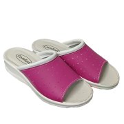 FUCSIA