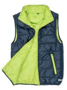 navy/lime