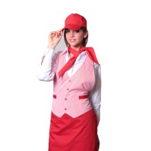 Grembiule paravanti gilet salumiere macellaio alimentari lavoro superm