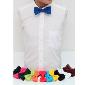 papillon-mod-AC003.jpg